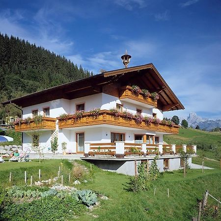 Ferienhaus Rosi Sankt Martin am Tennengebirge Dış mekan fotoğraf