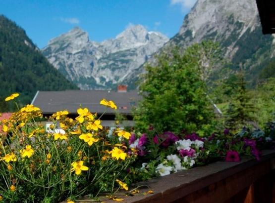 Ferienhaus Rosi Sankt Martin am Tennengebirge Oda fotoğraf