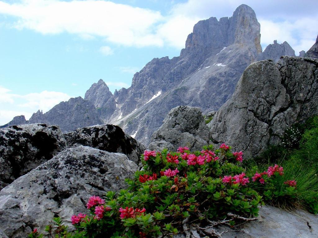 Ferienhaus Rosi Sankt Martin am Tennengebirge Dış mekan fotoğraf